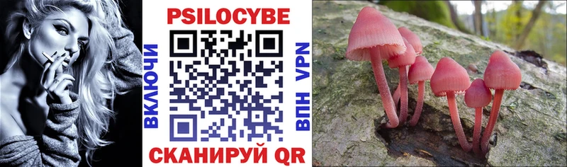 Галлюциногенные грибы Magic Shrooms  Купить  Костерёво 