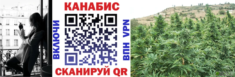 Купить где  Костерёво  Канабис конопля 